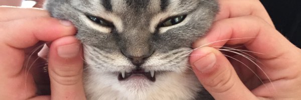 btoddrichards Profile Banner