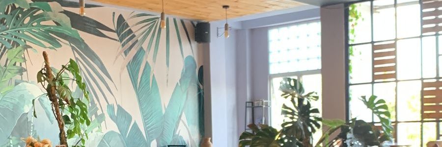 anykaka22's profile banner image