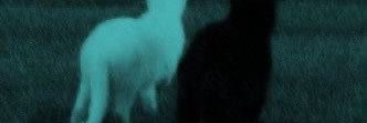 onetakeadlibs's profile banner image