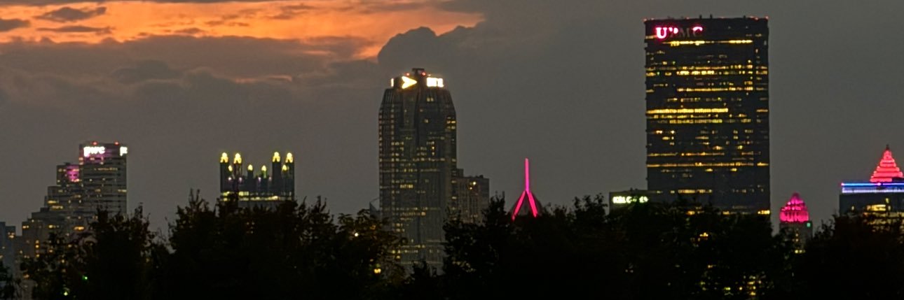 C.Stein banner