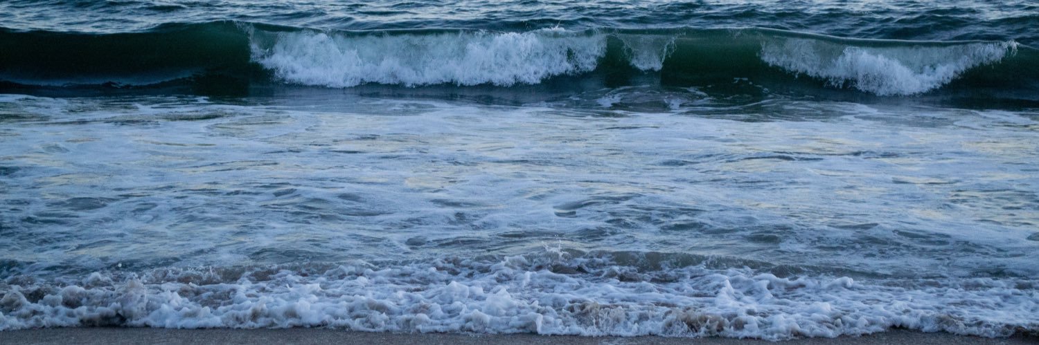 brandyfloflo's profile banner image