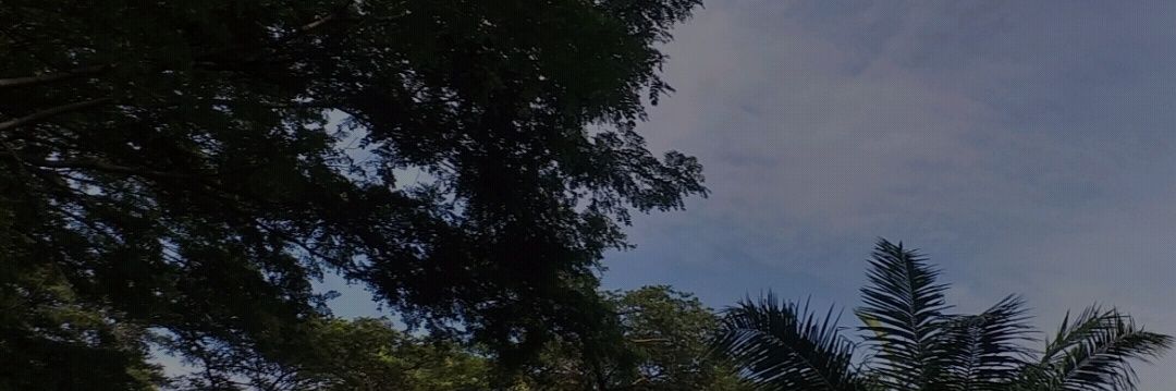 Fharetsadrila's profile banner image