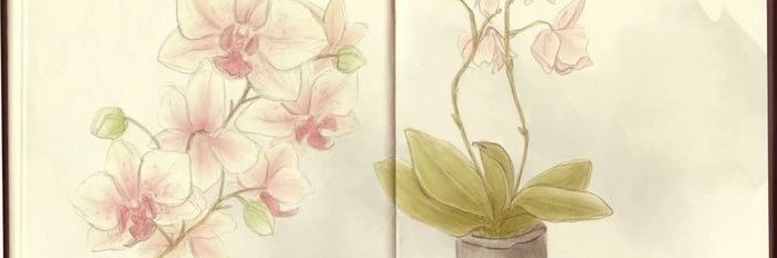 endlesswant's profile banner image