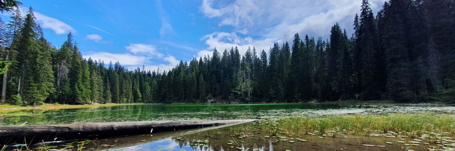 Hannes Müller-Thomy banner