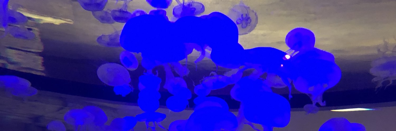astchris6's profile banner image