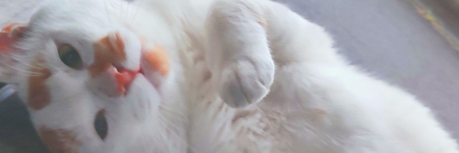 tororo0208's profile banner image