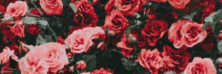 HanVirMue's profile banner image