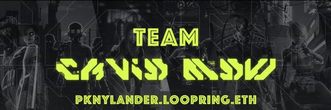 pknylander banner