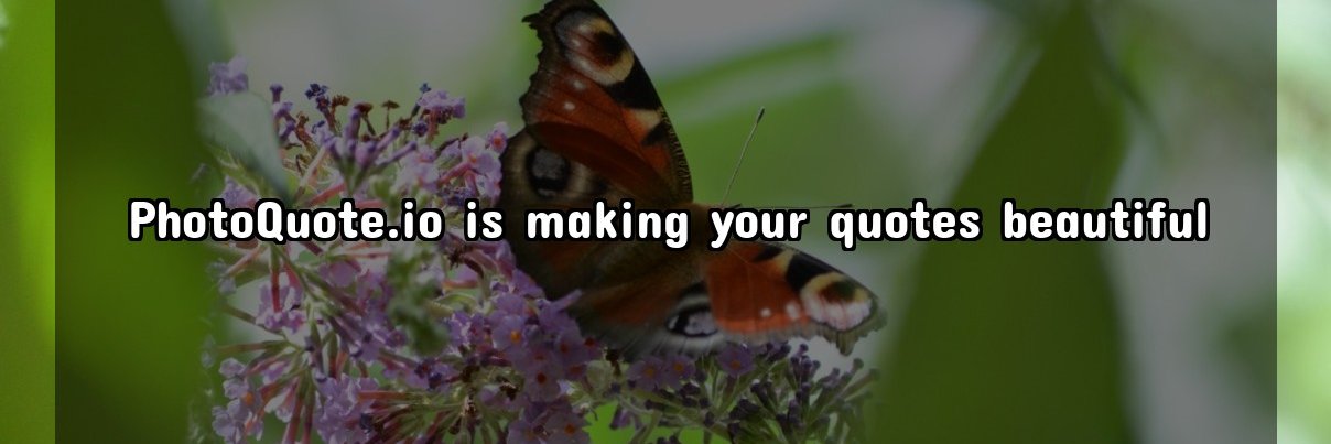 PhotoQuote.io banner