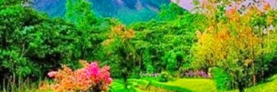 seyang35's profile banner image