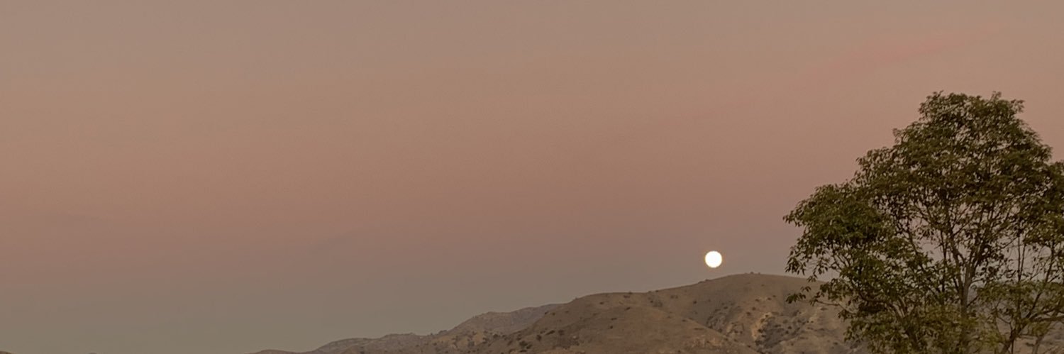 issaabelleal's profile banner image