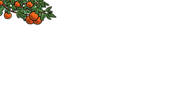 Whole Body Research banner