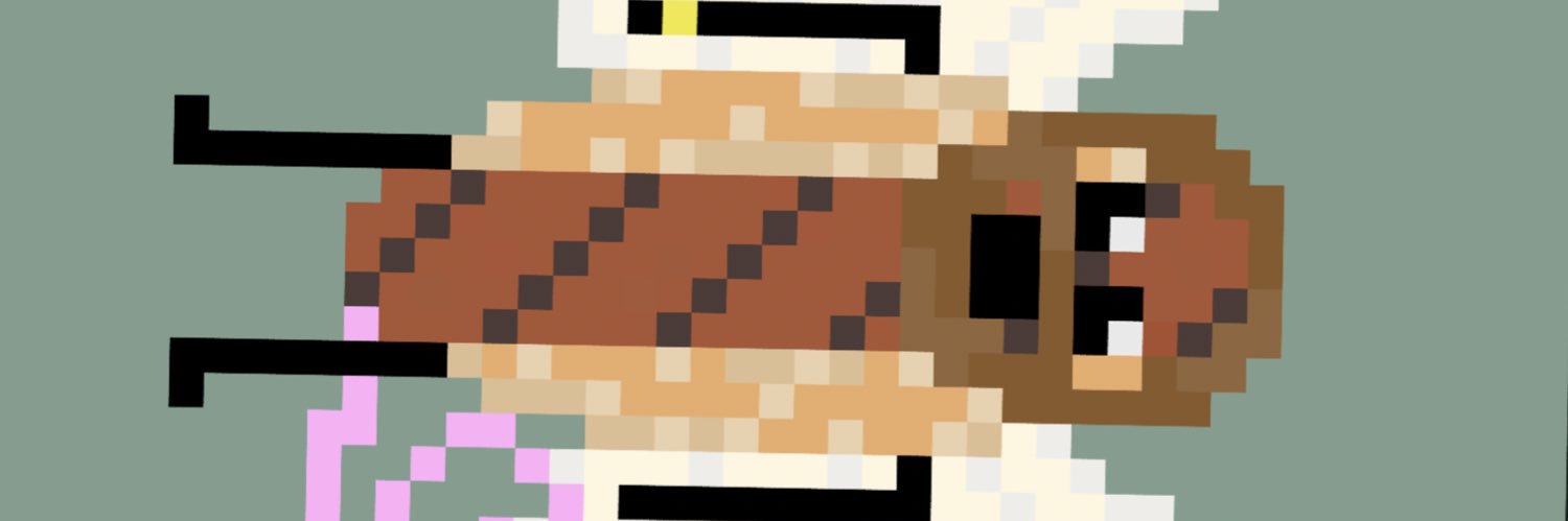 🌟🍥🇺🇸 banner