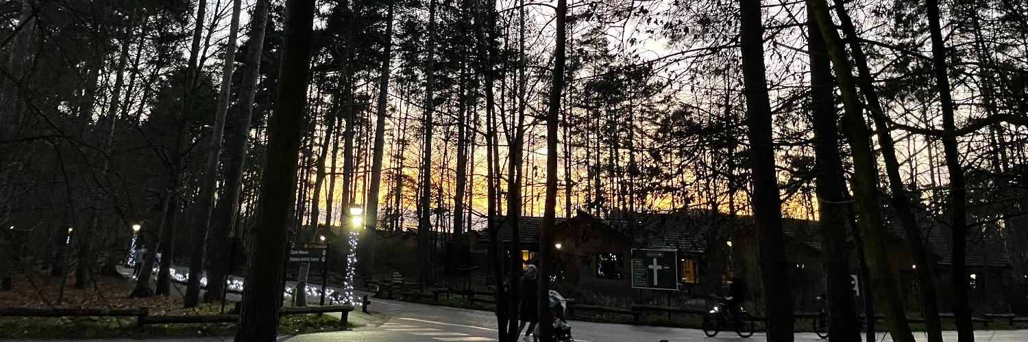 Lisa Clavering banner