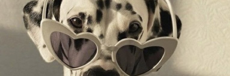 sillaviniaa's profile banner image