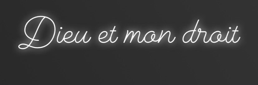 Louis-路易斯 banner