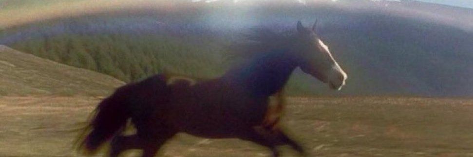 Jaitos Primo ☕ #TokuPibez banner