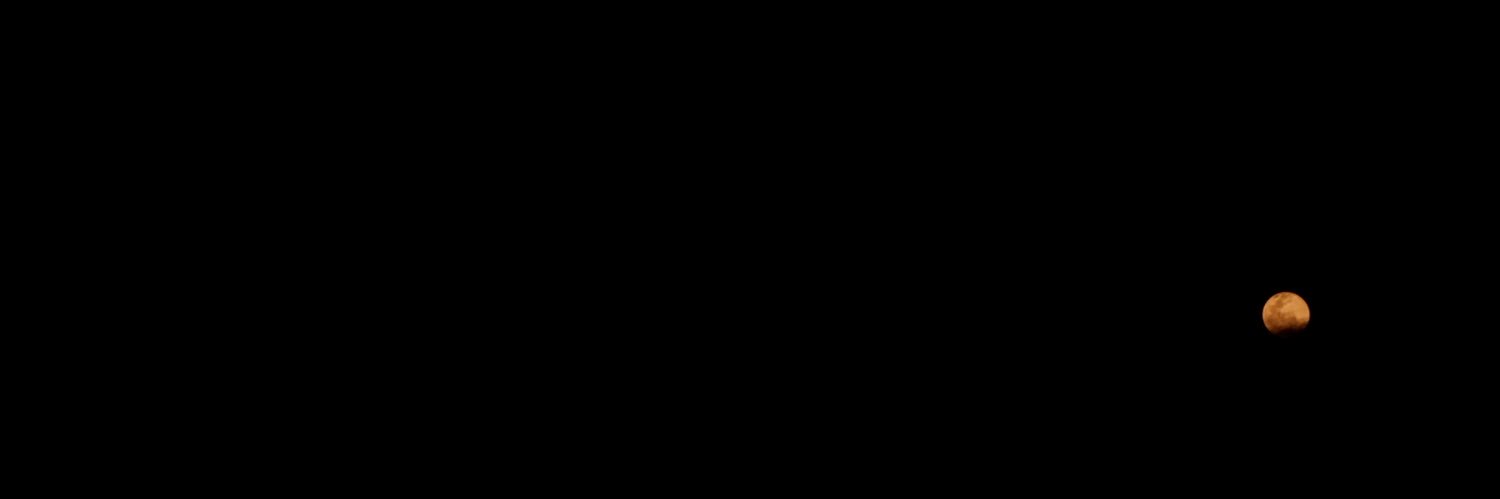 tracyanntan's profile banner image