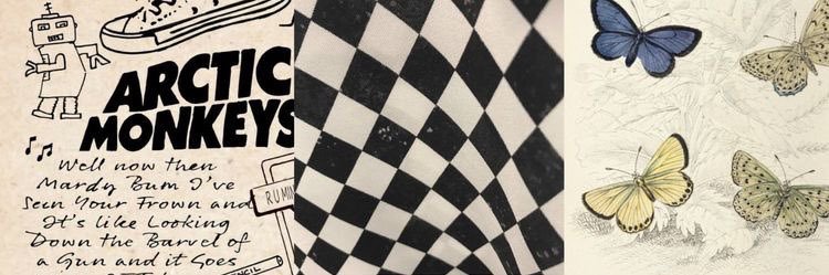 ayaa 🌷🧁 banner