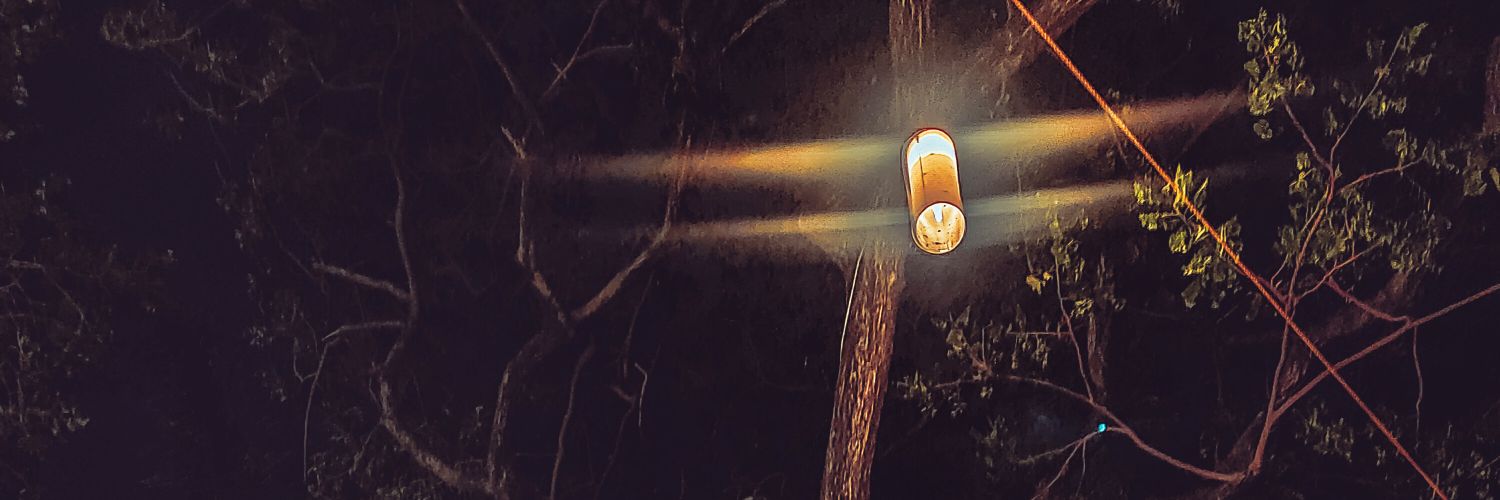 shiiiichann's profile banner image