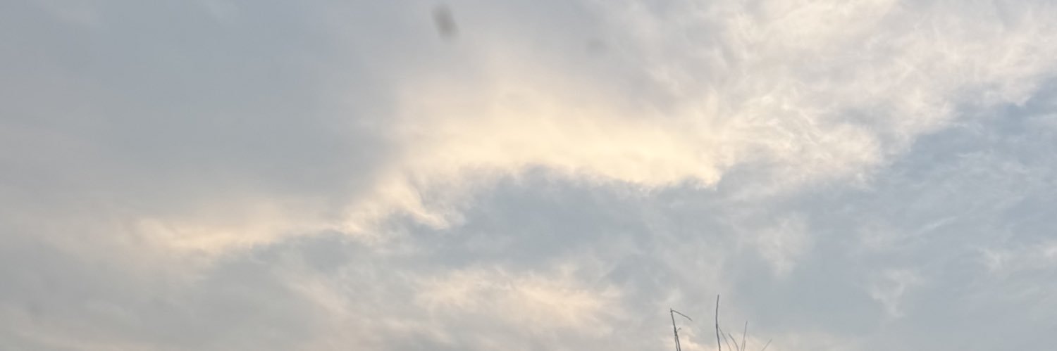 mamxmay's profile banner image
