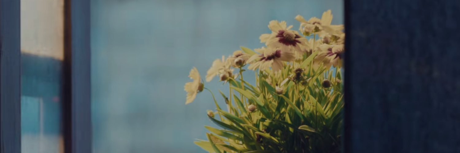 𝘮𝘪𝘥𝘴𝘶𝘮𝘮𝘦𝘳 banner