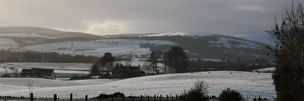 lisamorton_ot Profile Banner