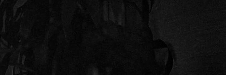 Vincent banner