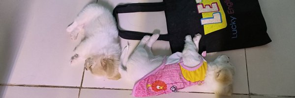 fannsi1234 Profile Banner