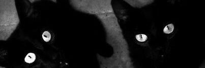 𝔓𝔞𝔦𝔫𝔨𝔦𝔩𝔩𝔢𝔯 banner