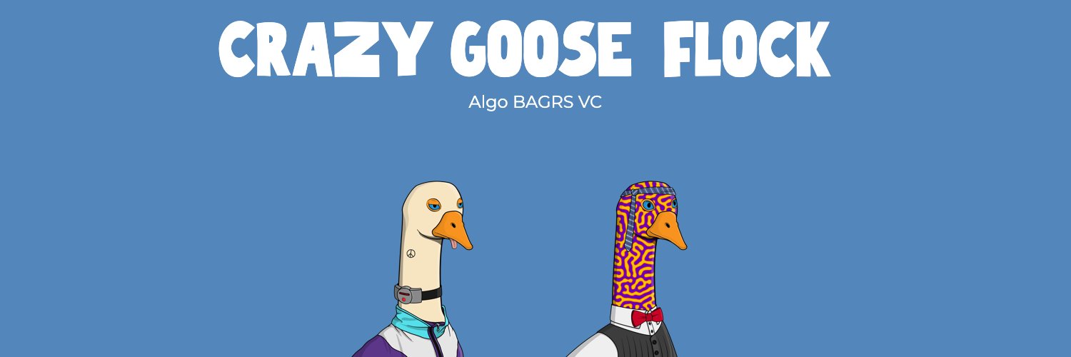 Algorandape.algo banner