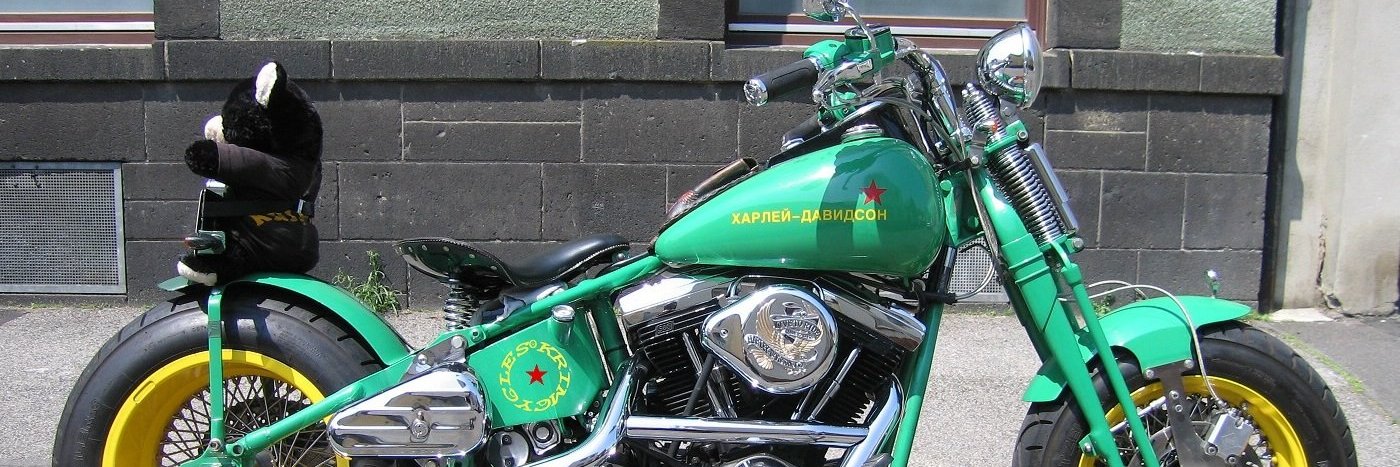 der Assi mit Niwoh🍾 🇩🇪 🇺🇦 🇷🇺 🇺🇸 🏳️‍🌈 banner