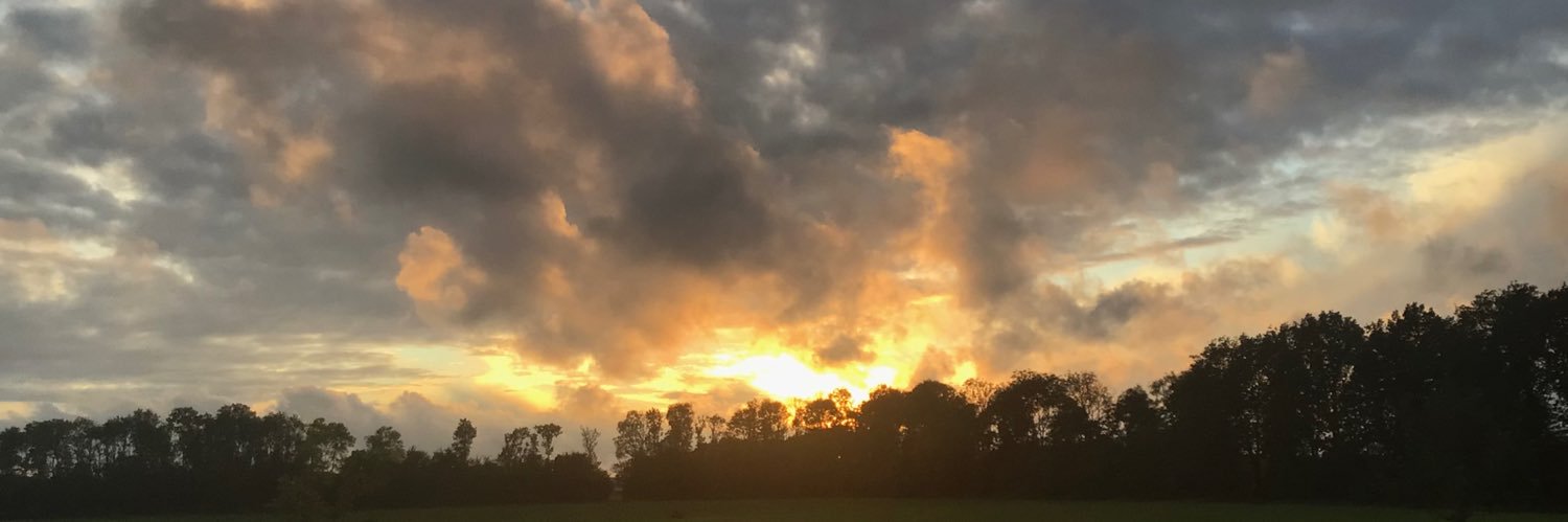 Frank Schröer banner