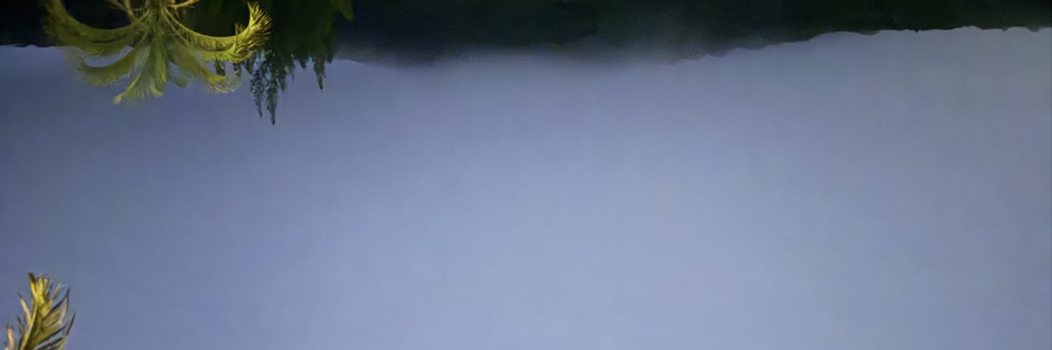 Dito_KKR's profile banner image