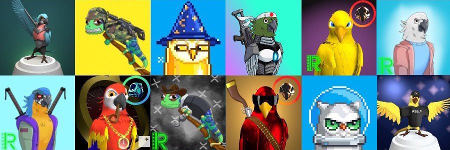 🦜XParrots / XRPL banner