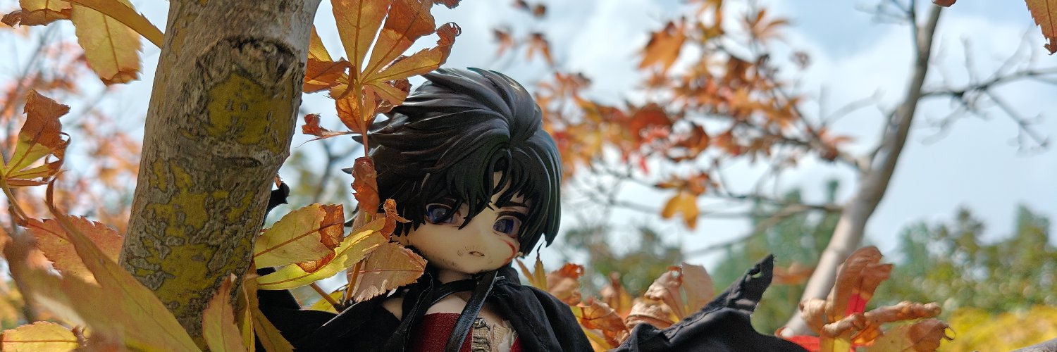BleiFieder's profile banner image