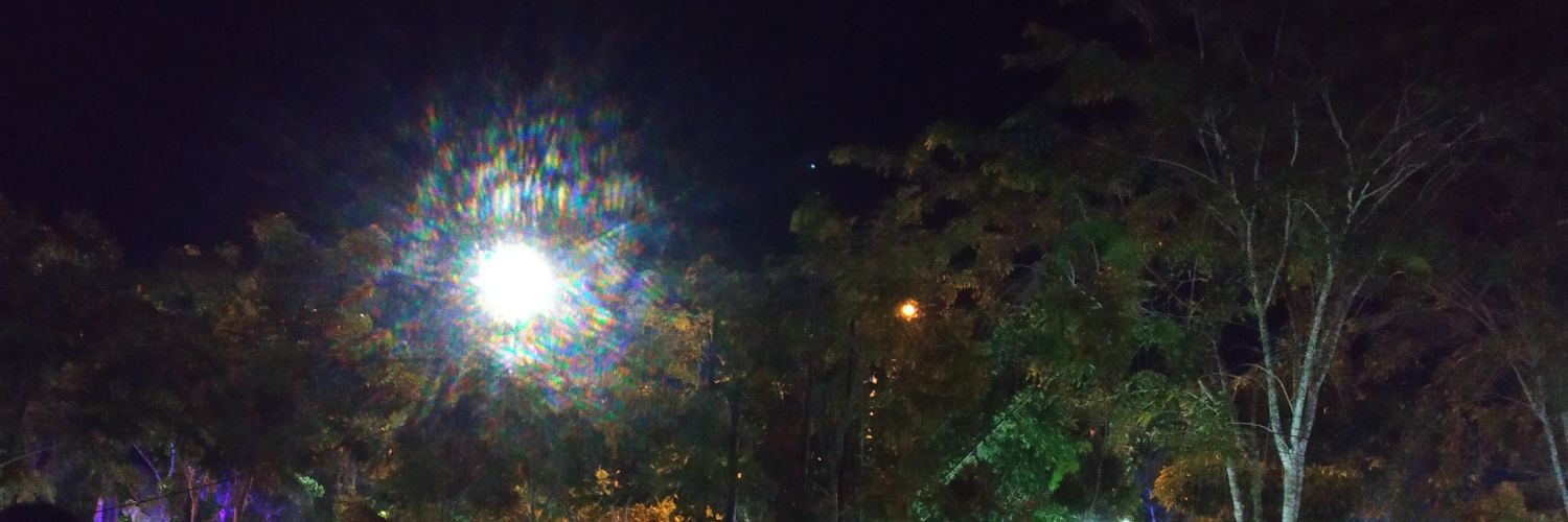 leoo0821's profile banner image