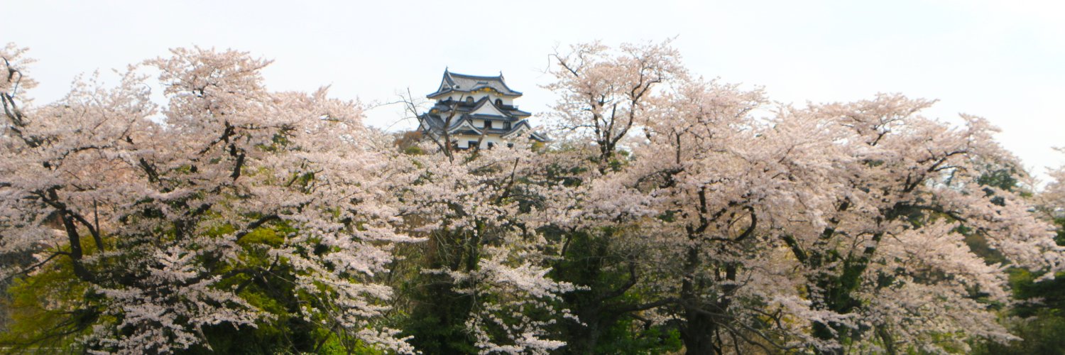 hikoneshi's profile banner image