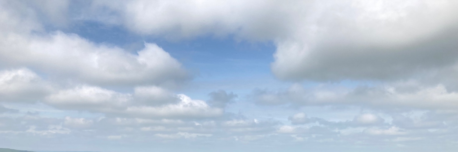Connie Brouder banner