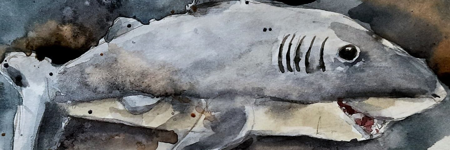 iflash04's profile banner image