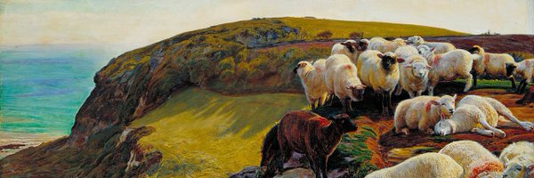 wool1111 Profile Banner