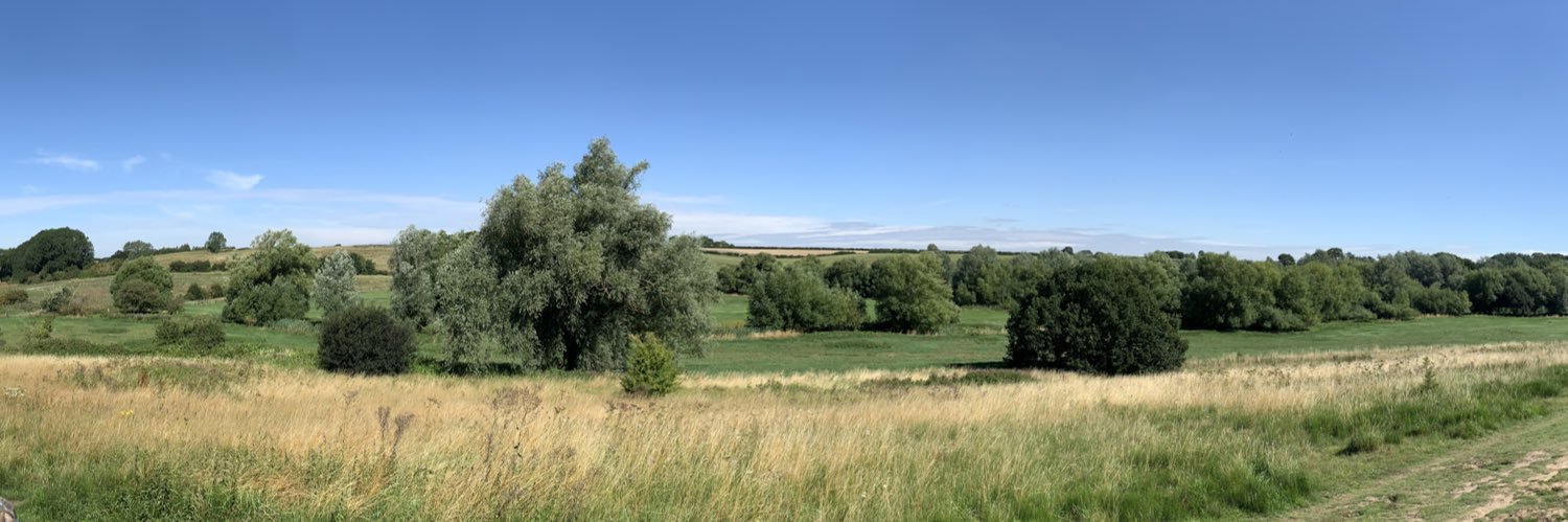 Tim Legg 👨🏻‍🎓⛹🏻‍♂️ banner