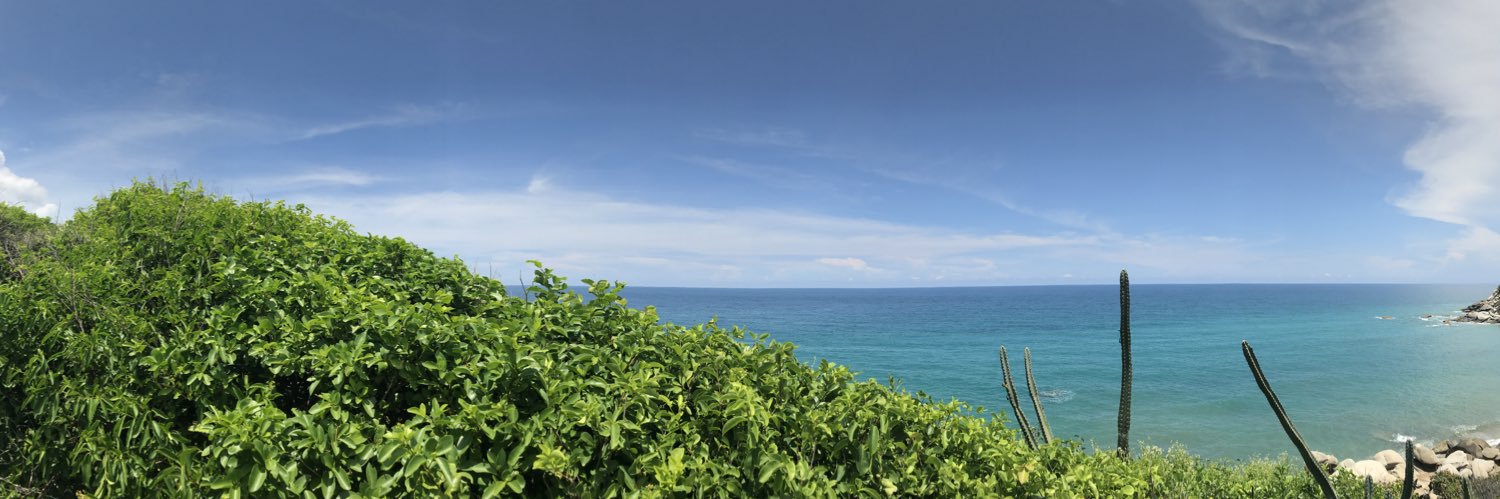 VickJantus's profile banner image