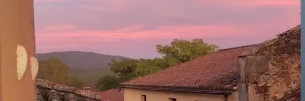 _vi0leta Profile Banner