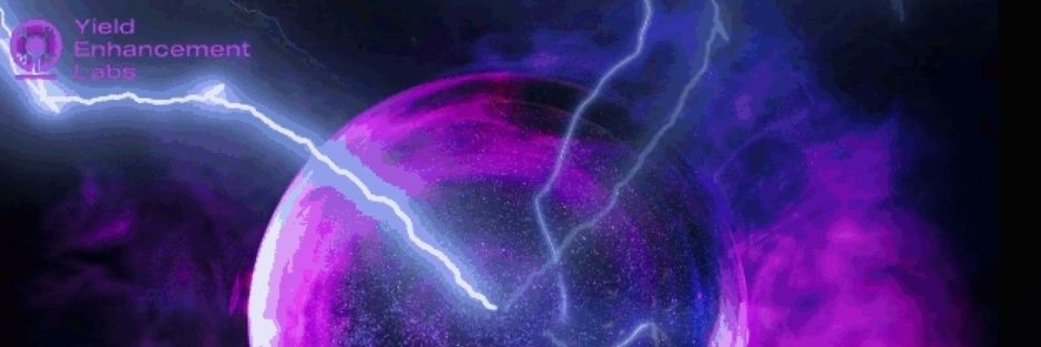 YelCommunity's profile banner image