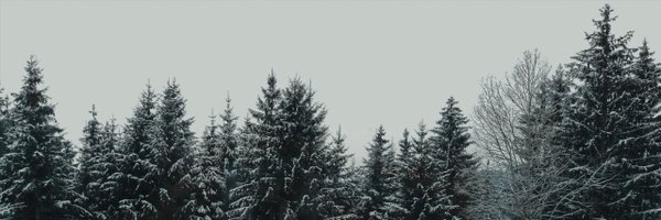 HyprFF Profile Banner