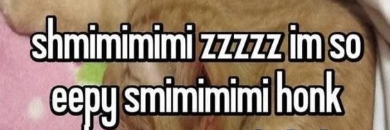 Slusheebubbles's profile banner image