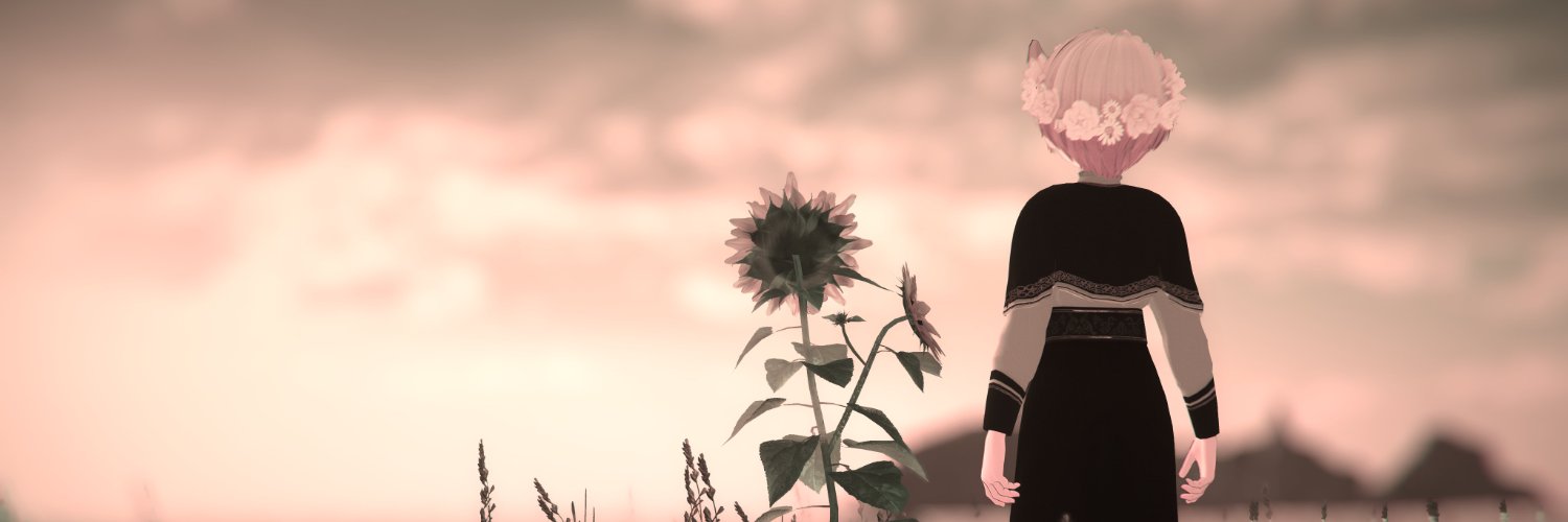 Roggo banner