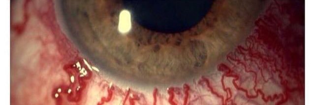 BACKWOODJUNE's profile banner image