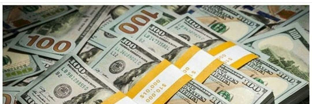 Odalys Quintero banner